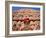 Palace of the Winds, Holyman, Jaipur, Rajasthan, India-Steve Vidler-Framed Photographic Print