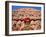 Palace of the Winds, Holyman, Jaipur, Rajasthan, India-Steve Vidler-Framed Photographic Print