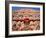 Palace of the Winds, Holyman, Jaipur, Rajasthan, India-Steve Vidler-Framed Photographic Print