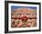 Palace of the Winds, Holyman, Jaipur, Rajasthan, India-Steve Vidler-Framed Photographic Print