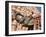 Palace of the Winds, Jaipur, Rajasthan, India-Doug Pearson-Framed Photographic Print