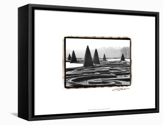 Palace of Versailles Garden I-Laura Denardo-Framed Stretched Canvas