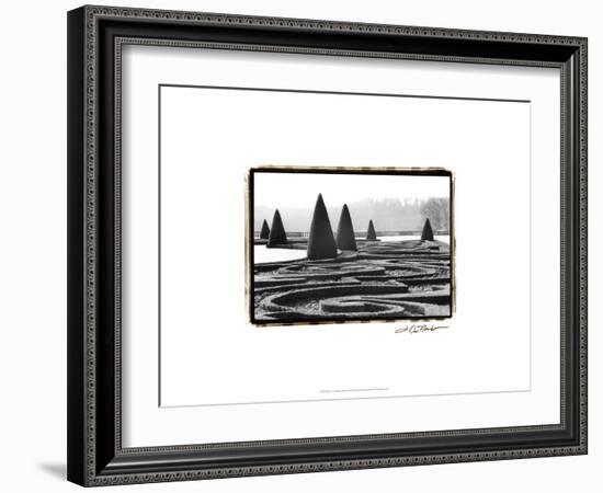 Palace of Versailles Garden I-Laura Denardo-Framed Art Print