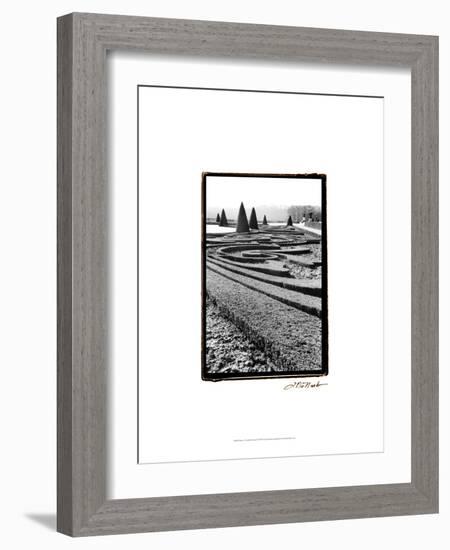 Palace of Versailles Garden II-Laura Denardo-Framed Art Print