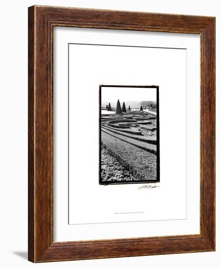 Palace of Versailles Garden II-Laura Denardo-Framed Art Print