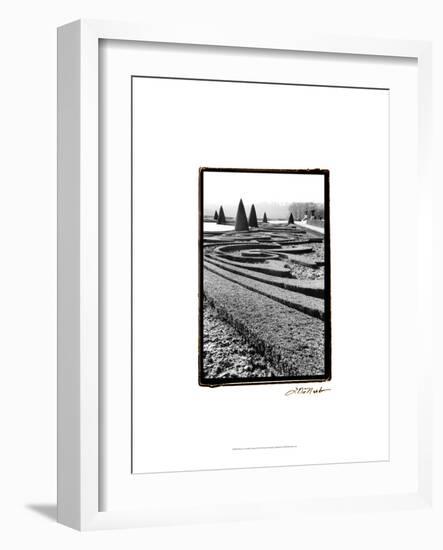 Palace of Versailles Garden II-Laura Denardo-Framed Art Print