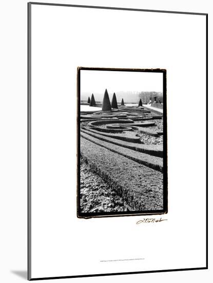 Palace of Versailles Garden II-Laura Denardo-Mounted Art Print