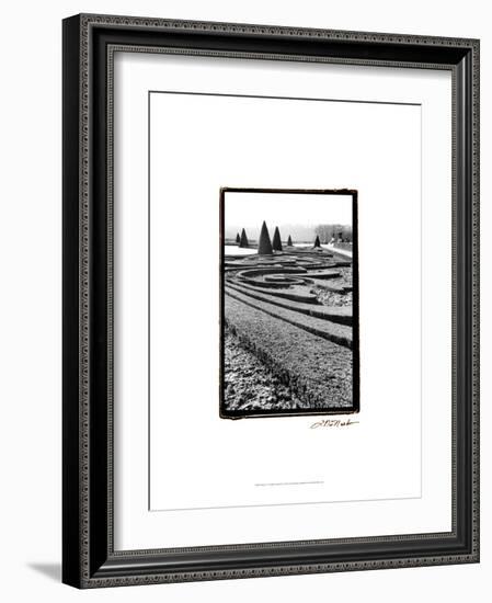 Palace of Versailles Garden II-Laura Denardo-Framed Art Print