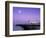 Palace Pier, Brighton, East Sussex, England-Rex Butcher-Framed Photographic Print