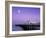 Palace Pier, Brighton, East Sussex, England-Rex Butcher-Framed Photographic Print