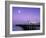 Palace Pier, Brighton, East Sussex, England-Rex Butcher-Framed Photographic Print