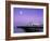 Palace Pier, Brighton, East Sussex, England-Rex Butcher-Framed Photographic Print