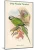Palaeornis Caniceps - Grey-Headed Parakeet-John Gould-Mounted Art Print