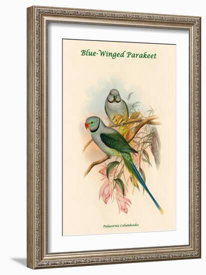 Palaeornis Columboides - Blue-Winged Parakeet-John Gould-Framed Art Print