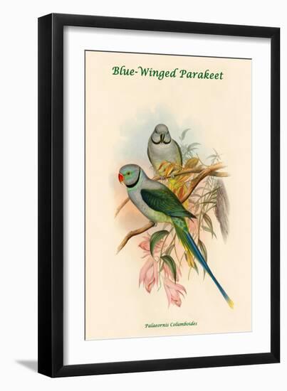 Palaeornis Columboides - Blue-Winged Parakeet-John Gould-Framed Art Print