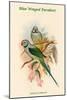 Palaeornis Columboides - Blue-Winged Parakeet-John Gould-Mounted Art Print