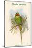 Palaeornis Nicobaricus - Nicobar Parakeet-John Gould-Mounted Art Print