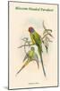 Palaeornis Rosa - Blossom-Headed Parakeet-John Gould-Mounted Art Print