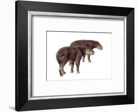 Palaeosyops-null-Framed Photographic Print