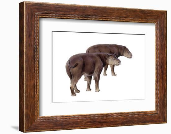 Palaeosyops-null-Framed Photographic Print