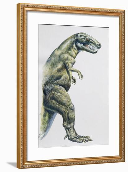 Palaeozoology, Cretaceous Period, Dinosaurs, Tyrannosaurus Rex-null-Framed Giclee Print