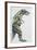 Palaeozoology, Cretaceous Period, Dinosaurs, Tyrannosaurus Rex-null-Framed Giclee Print