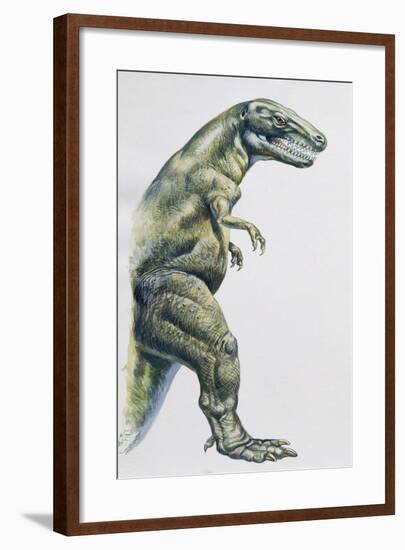 Palaeozoology, Cretaceous Period, Dinosaurs, Tyrannosaurus Rex-null-Framed Giclee Print