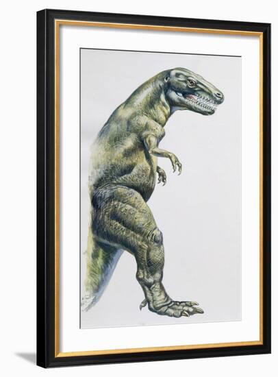 Palaeozoology, Cretaceous Period, Dinosaurs, Tyrannosaurus Rex-null-Framed Giclee Print