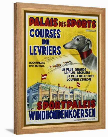 Palais Des Sports - Courses De Levriers - Sportspalais Windhondenkoersen Dog Racing Poster-null-Framed Premier Image Canvas