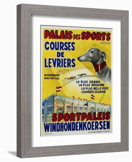 Palais Des Sports - Courses De Levriers - Sportspalais Windhondenkoersen Dog Racing Poster-null-Framed Giclee Print