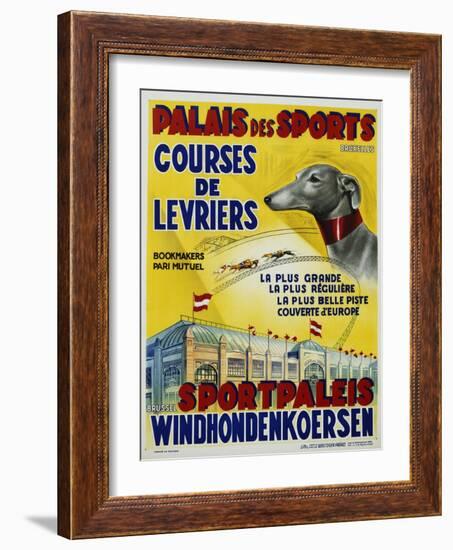 Palais Des Sports - Courses De Levriers - Sportspalais Windhondenkoersen Dog Racing Poster-null-Framed Giclee Print