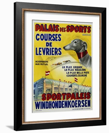 Palais Des Sports - Courses De Levriers - Sportspalais Windhondenkoersen Dog Racing Poster-null-Framed Giclee Print