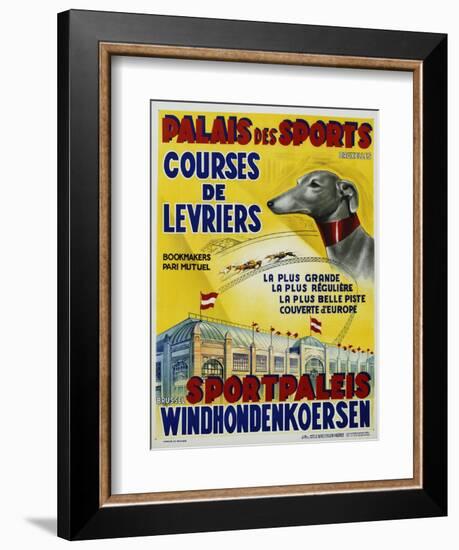 Palais Des Sports - Courses De Levriers - Sportspalais Windhondenkoersen Dog Racing Poster-null-Framed Premium Giclee Print