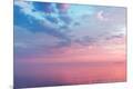 Premium Photographic Print