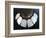 'Palangapang' mother of pearl shell necklace, Philippines-Werner Forman-Framed Giclee Print