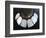 'Palangapang' mother of pearl shell necklace, Philippines-Werner Forman-Framed Giclee Print