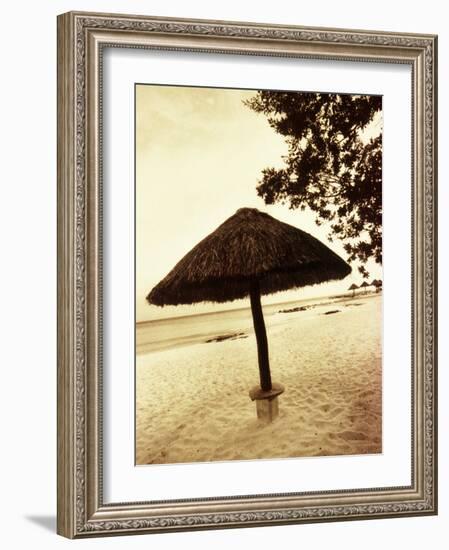 Palapa Umbrella on the Beach, Cancun, Mexico-Daniel J. Cox-Framed Photographic Print