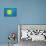 Palau Flag Design with Wood Patterning - Flags of the World Series-Philippe Hugonnard-Art Print displayed on a wall