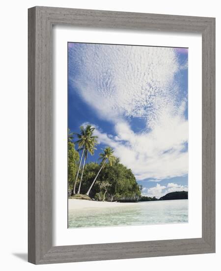 Palau, Honeymoon Island, Rock Islands, View of Beach with Palm Trees-Stuart Westmorland-Framed Photographic Print