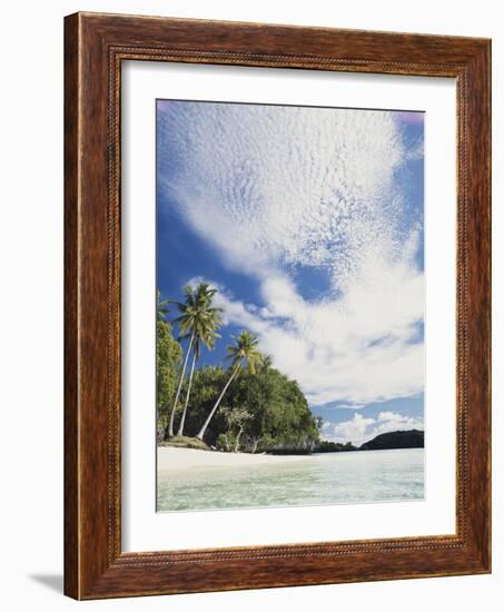 Palau, Honeymoon Island, Rock Islands, View of Beach with Palm Trees-Stuart Westmorland-Framed Photographic Print