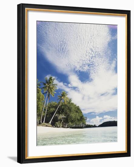 Palau, Honeymoon Island, Rock Islands, View of Beach with Palm Trees-Stuart Westmorland-Framed Photographic Print