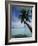 Palau, Micronesia, Palm Tree at Palau Lagoon-Stuart Westmorland-Framed Photographic Print