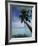 Palau, Micronesia, Palm Tree at Palau Lagoon-Stuart Westmorland-Framed Photographic Print