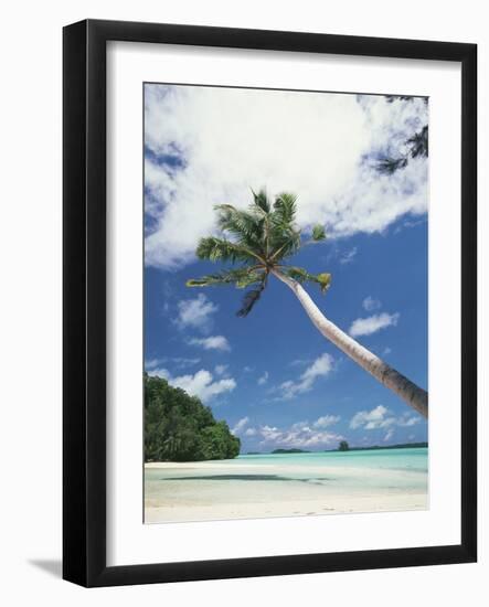 Palau, Palm Trees Along Tropical Beach-Stuart Westmorland-Framed Photographic Print