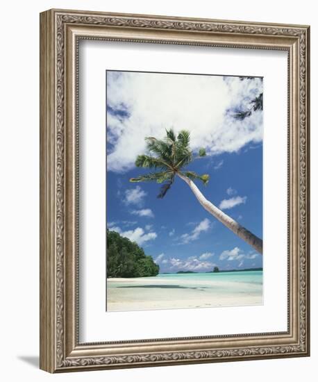 Palau, Palm Trees Along Tropical Beach-Stuart Westmorland-Framed Photographic Print