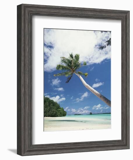 Palau, Palm Trees Along Tropical Beach-Stuart Westmorland-Framed Photographic Print