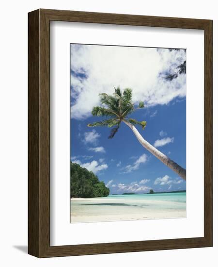 Palau, Palm Trees Along Tropical Beach-Stuart Westmorland-Framed Photographic Print