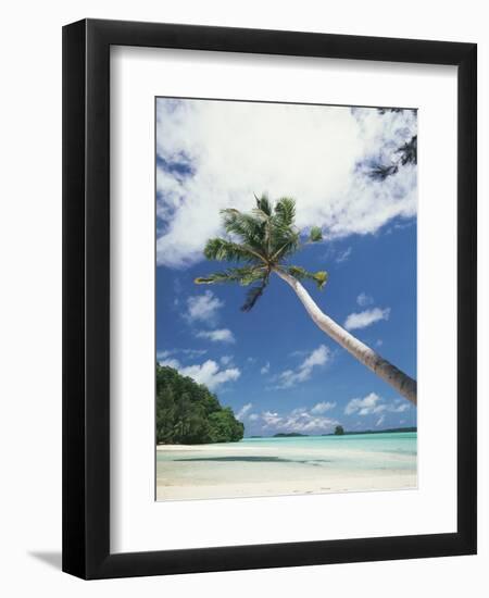 Palau, Palm Trees Along Tropical Beach-Stuart Westmorland-Framed Photographic Print