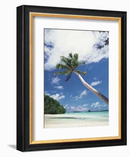 Palau, Palm Trees Along Tropical Beach-Stuart Westmorland-Framed Photographic Print