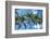 Palawan Palm Trees I-Richard Silver-Framed Photographic Print